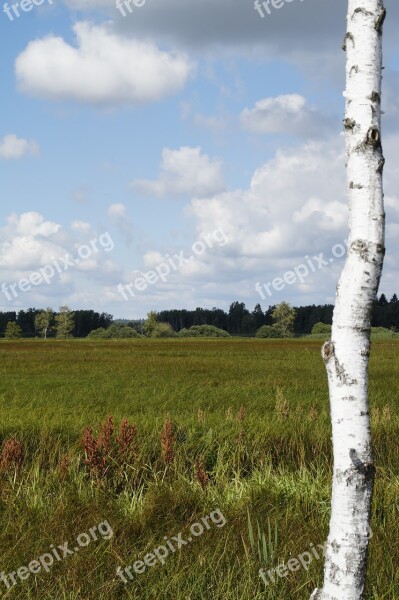 Landscape Spring Lake Nature Reserve Nature Moorland