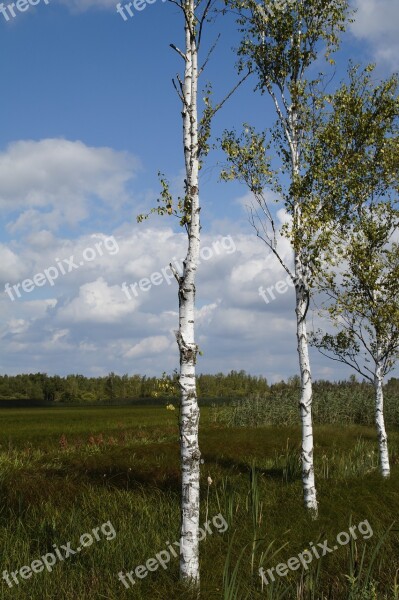 Landscape Spring Lake Nature Reserve Nature Moorland