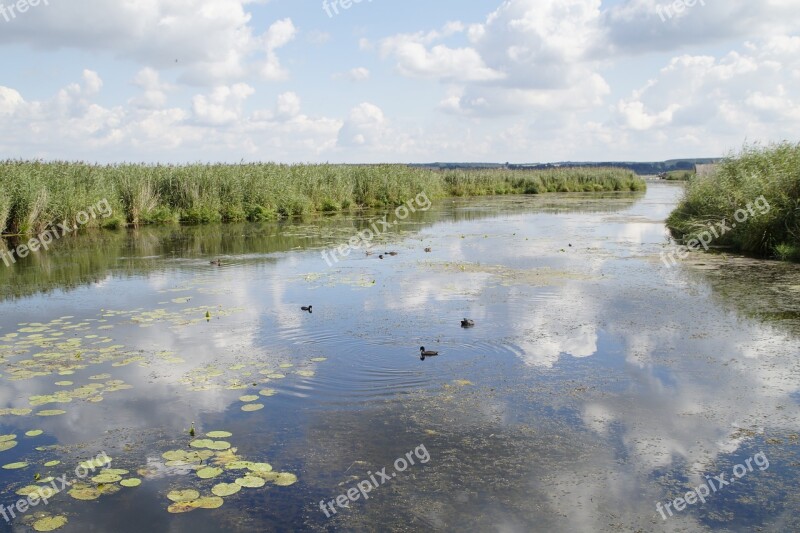 Landscape Spring Lake Nature Reserve Nature Moorland