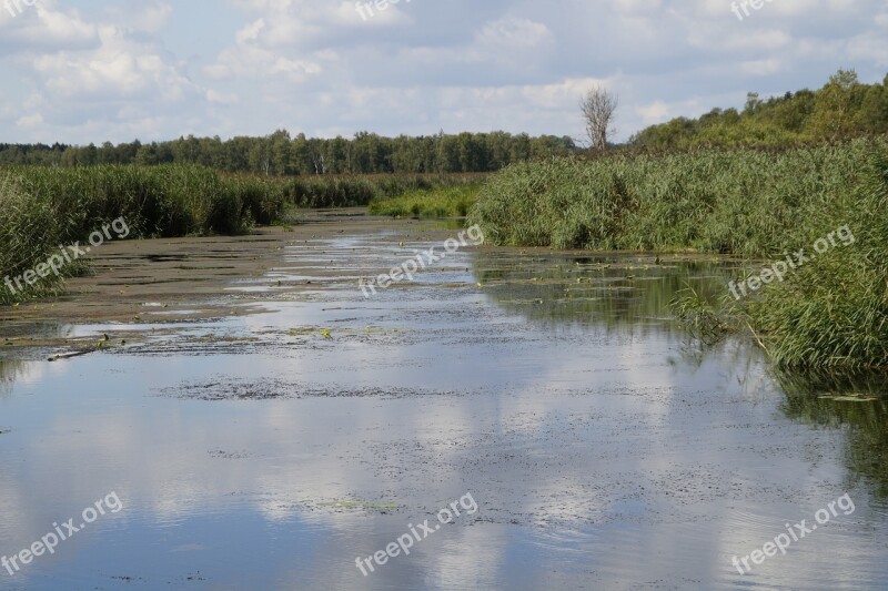 Landscape Spring Lake Nature Reserve Nature Moorland