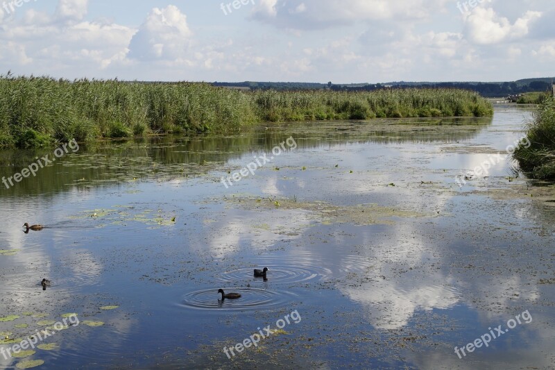 Landscape Spring Lake Nature Reserve Nature Moorland