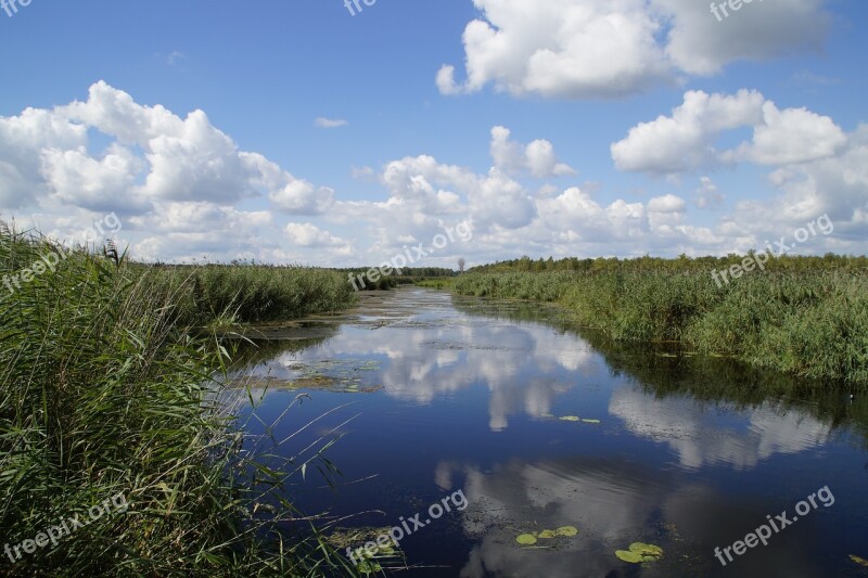 Landscape Spring Lake Nature Reserve Nature Moorland