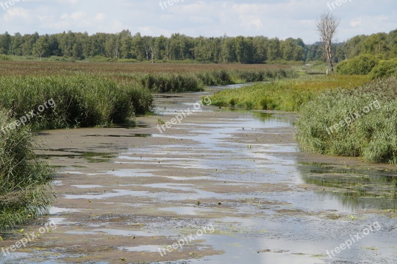 Landscape Spring Lake Nature Reserve Nature Moorland