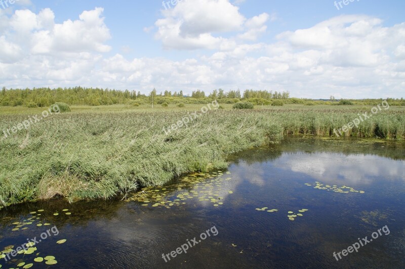 Landscape Spring Lake Nature Reserve Nature Moorland