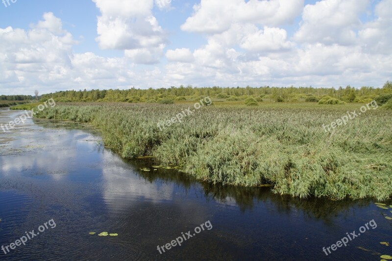 Landscape Spring Lake Nature Reserve Nature Moorland