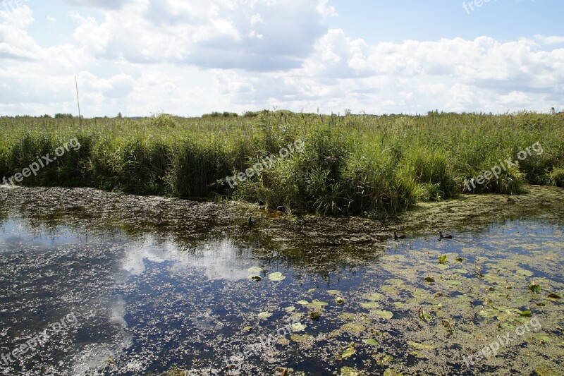 Landscape Spring Lake Nature Reserve Nature Moorland