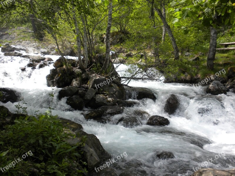 Spain Andorra Streams Forest Trees