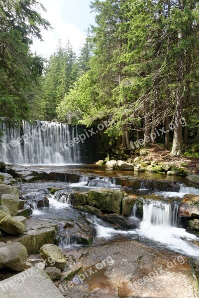 Waterfall Torrent Forest Stream Nature