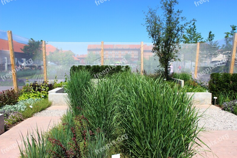 Landesgartenschau Landau Plant Grass Tree Blue Sky