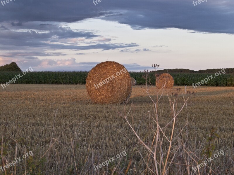 Straw Field Harvest Nature Agriculture