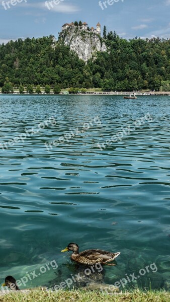 Duck Lake Castle Landscape Water