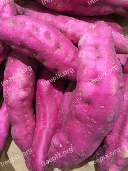 Sweet Potato Purple Seiyu Ltd Living Supermarket