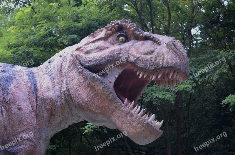 Dinosaur Tyrannosaurus Rex Rex Dinopark Free Photos