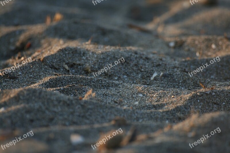 Sand Macro Dune Beach Free Photos