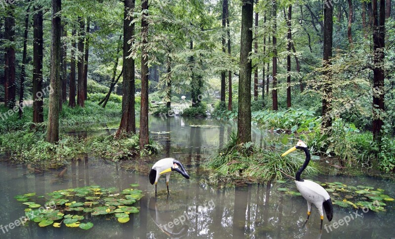 Garden Trees Green Water Statues