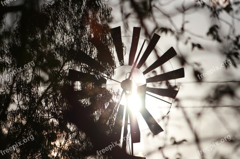 Weathervane Sol Sertao Brazil Free Photos