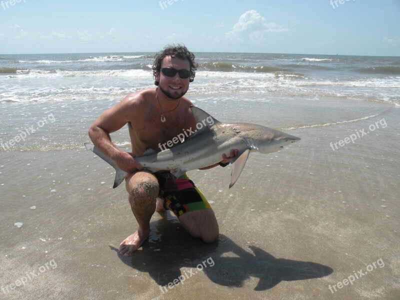 Shark Expert Marine Biologist Phd Danger