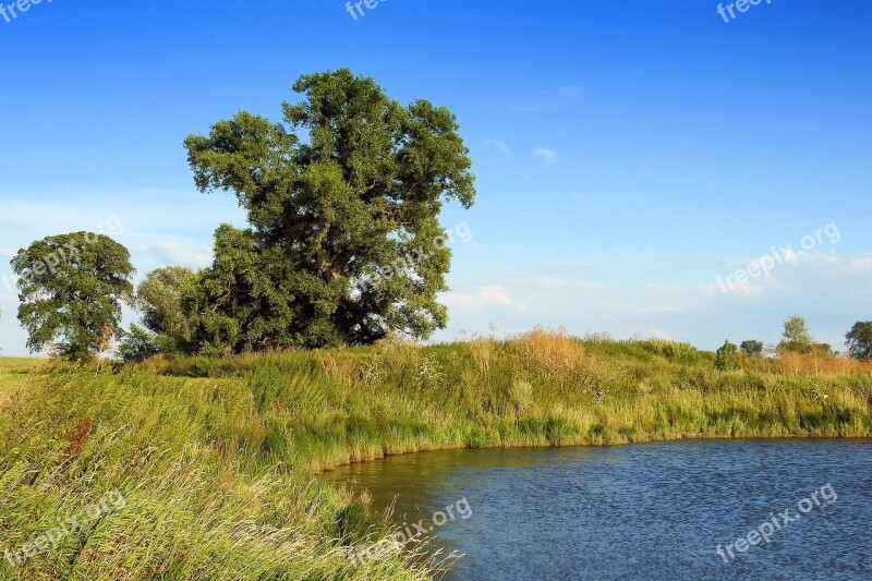 Landscape Trees Bank Waters River Landscape