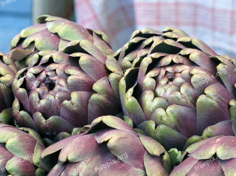 Artichokes Food Vegetarian Agriculture Eating