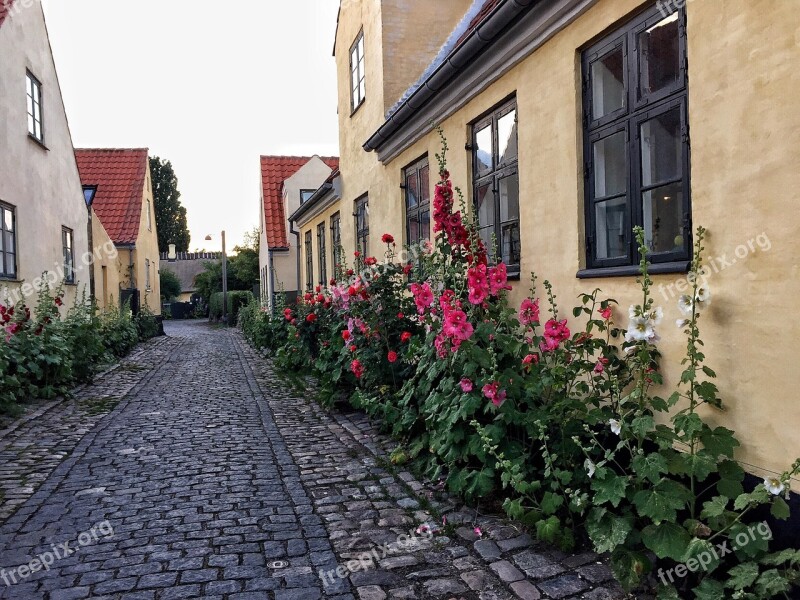 Dragør Paving Stones Denmark Old Town Beautiful