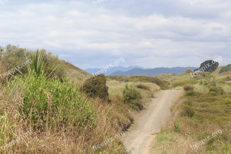 New Zealand Opotiki North Island Trail Dunes