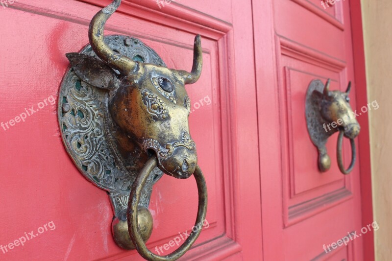 Door Knob Door Napier New Zealand Input