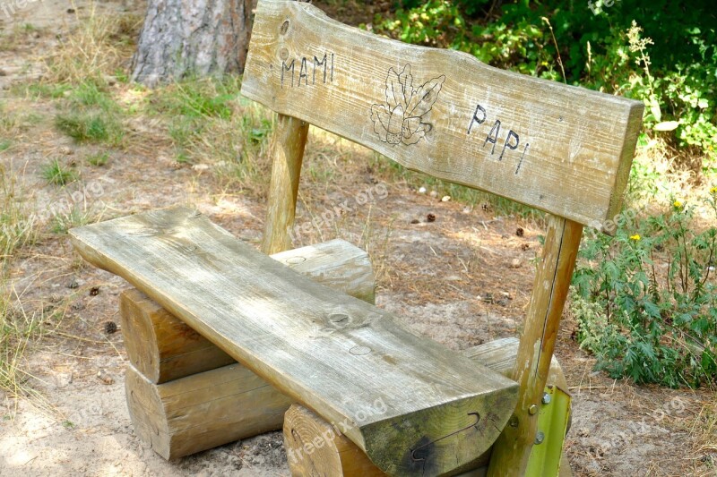 Bank Wood Forest Nature Rest