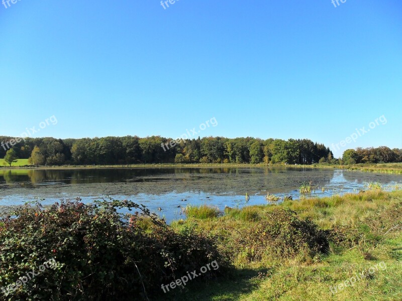 Rodder Maar Brohltal Maar Waters Vulkaneifel