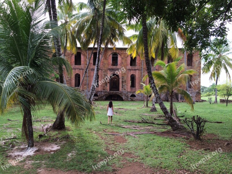 Colonial Jungle Guyana Woman Has Abandoned