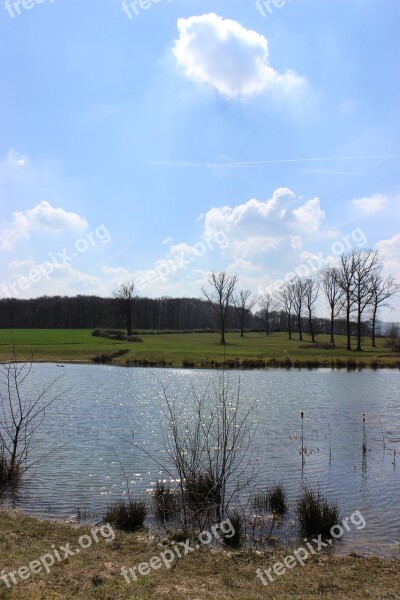 Rodder Maar Brohltal Maar Forest Nature