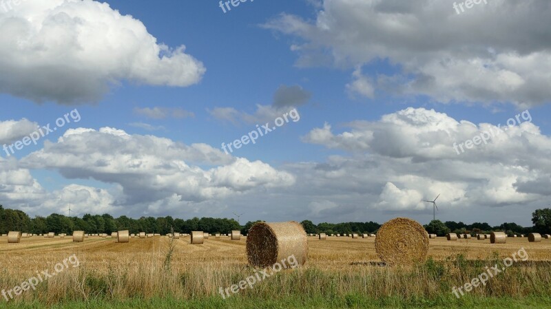 Hay Harvest Dried Grass Straw Bales Winter Feed