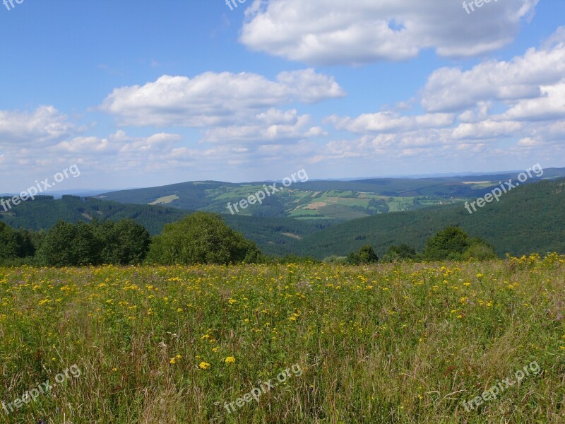 Meadow Nature Czech Free Photos