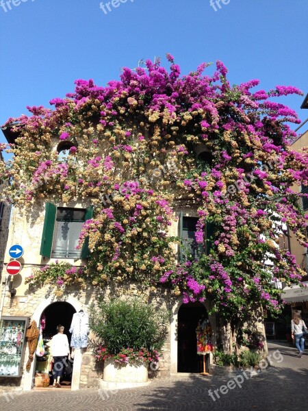 Sirmione Flowers House Free Photos