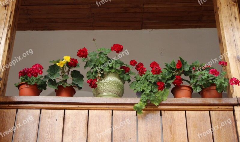 Flowers Pots Window Rustic Arrangement