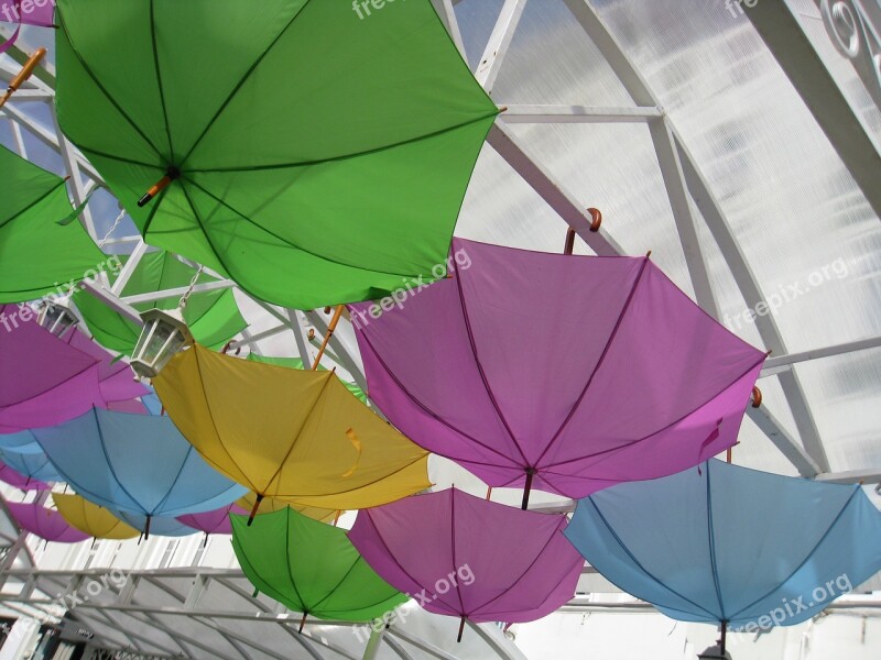 Umbrellas Composition Installation Free Photos