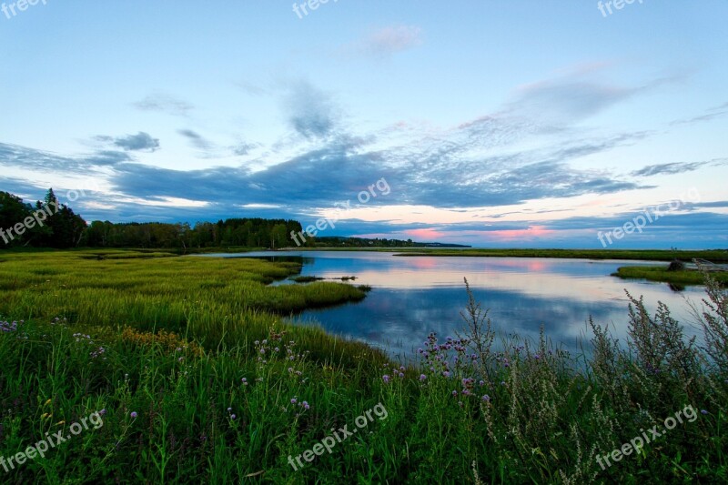 Sky Grass Blue Summer Nature