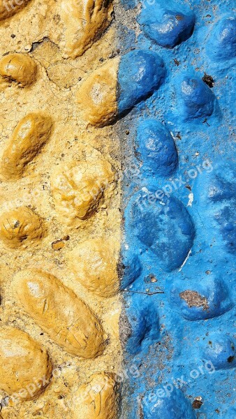 Sassi Fossils Rocks Wall Color