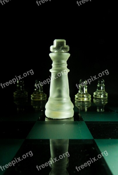 Chess Parts King Pawn Chess Board