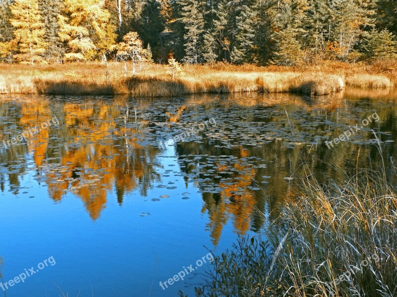 Pond Reflections Autumn Nature Water