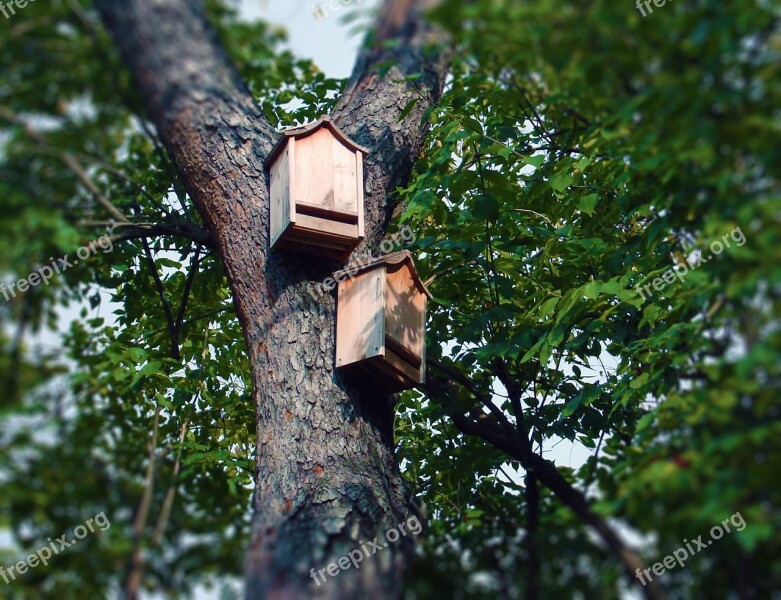 Bat Boxes Bat House Tree Roosting Box Bat