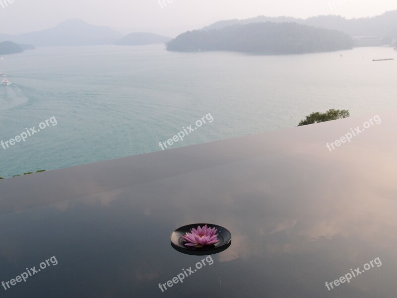 Sun Moon Lake Reflection Pond Flower Yuchi Township Taiwan