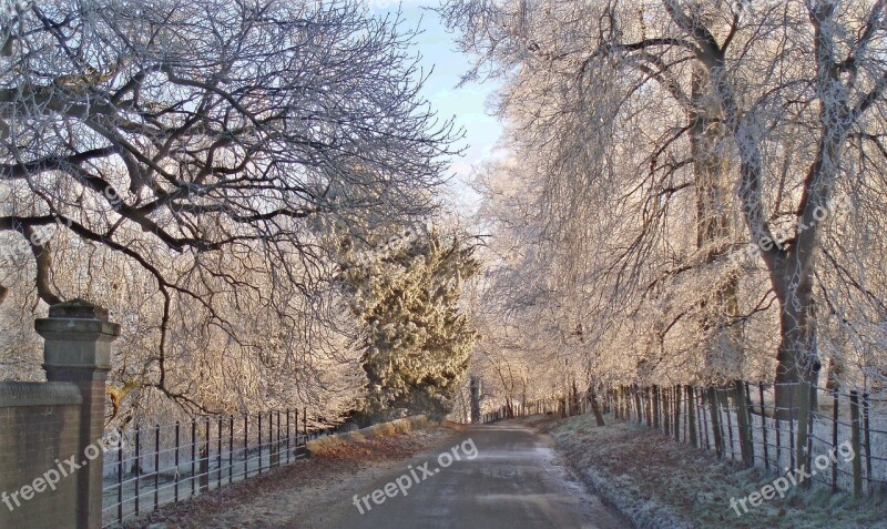 Frost Warwickshire Winter Rural Uk