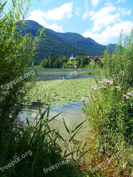 Lake Weissensee Lake Waters Water Lilies West Bank