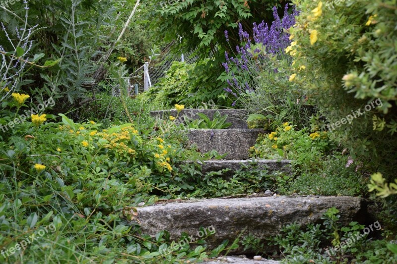 Stairs Haunting Wild Nature Lonely