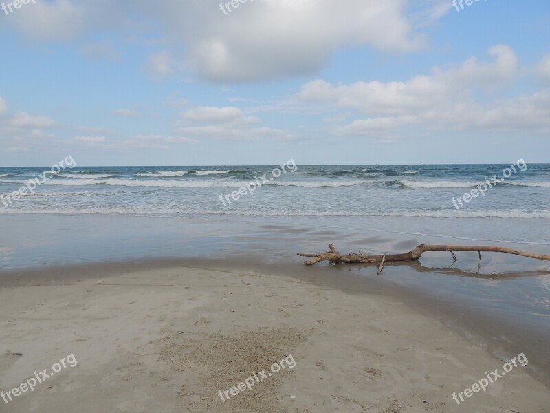 Beach Driftwood Ocean Sky Rainy