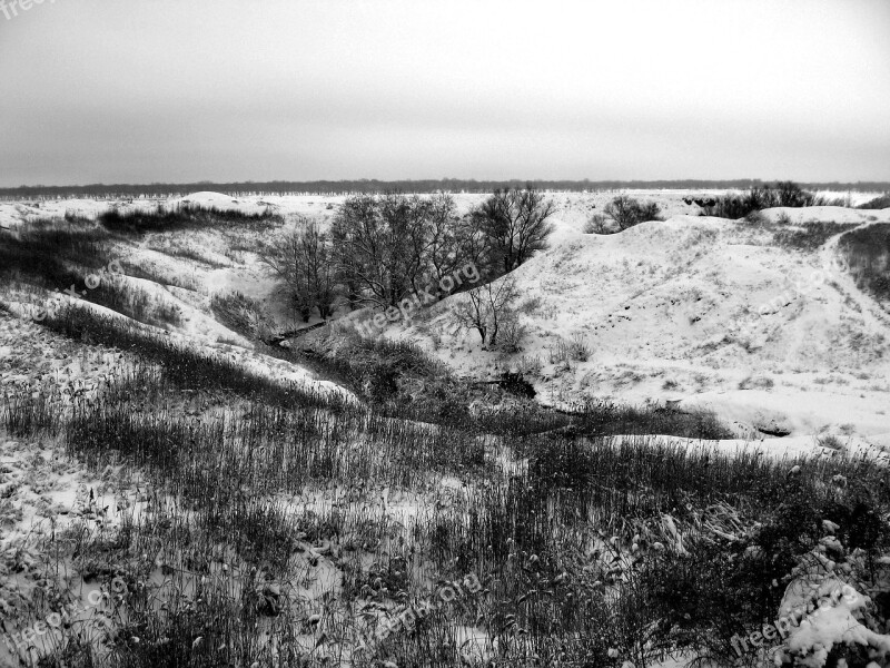 Winter Day Nature Winter Forest Trees Frost