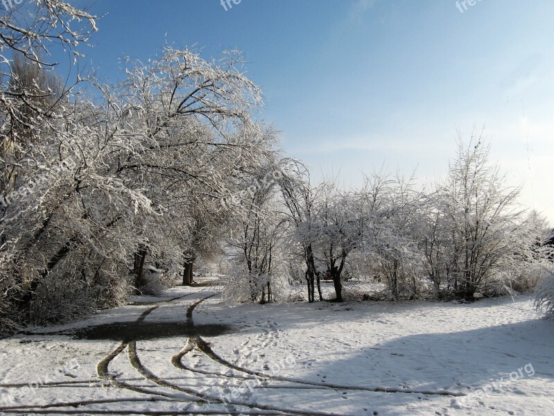 Winter Morning Landscape Snow Cold