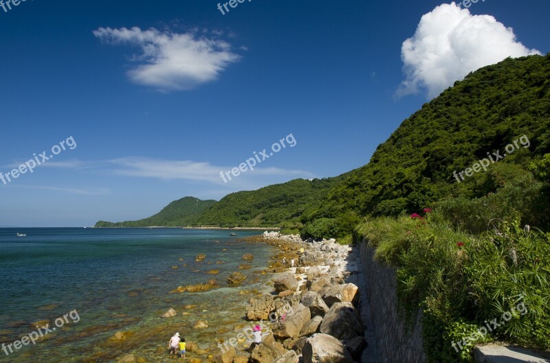 Flower Alpine Hills Sea View Sea