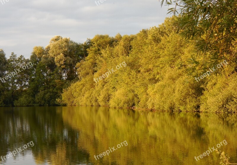 Trees Lake Water Reflection Nature Reserve Green