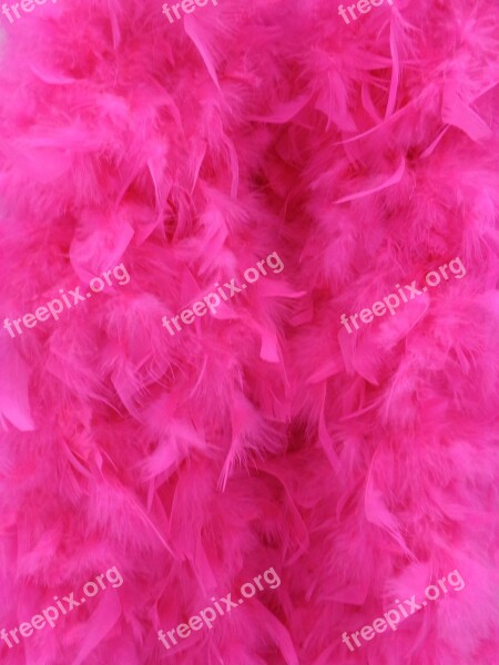 Background Pink Fluffy Feathers Texture